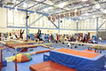 Delta Gymnastics Society image 2