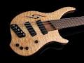 Dingwall Designer Guitars image 4