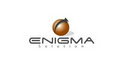 Enigma Solution logo