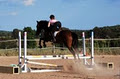 Equestrious image 3