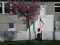 Esquimalt Music Centre image 3