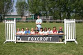 Foxcroft Equestrian Centre image 2