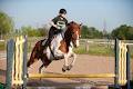 Foxcroft Equestrian Centre image 6
