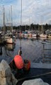 French Creek Harbour image 1