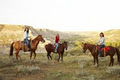 Frontier Valley Trail Rides image 5