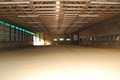 Georgetown Equestrian Centre image 3