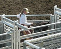 Good Horsemanship at Rojo Pez Ranch image 2