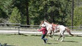 Good Horsemanship at Rojo Pez Ranch image 3
