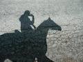 Good Horsemanship at Rojo Pez Ranch image 5