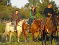 Graywalk Buffalo Ranch image 1