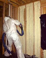 Green Earth Foam Insulation Inc. image 3