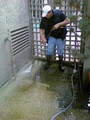 Gutter Cleaning and Windows Cleaning And Repairs image 6