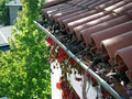 Gutter Cleaning and Windows Cleaning And Repairs image 1