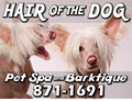 HAIR OF THE DOG logo