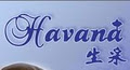 Havana Technical Hair Design logo