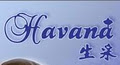 Havana Technical Hair Design logo