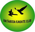Hayabusa Karate logo