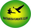 Hayabusa Karate image 1