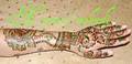 Henna Mehndi Artist Nusrat Malik image 2