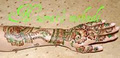 Henna Mehndi Artist Nusrat Malik image 2