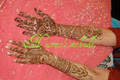 Henna Mehndi Artist Nusrat Malik logo
