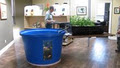 Homegrown Hydroponics Inc. image 2
