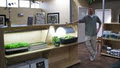Homegrown Hydroponics Inc. image 6