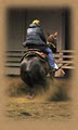HorsePlayYourWay image 6