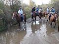 Horsin Around Riding Ranch image 2