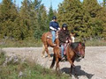 Horsin Around Riding Ranch image 3