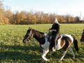 Horsin Around Riding Ranch image 6