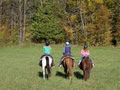 Horsin Around Riding Ranch logo