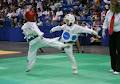 JVK Taekwondo image 6