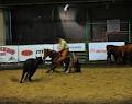 Jason Hanson Cutting Horses image 4