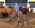Jason Hanson Cutting Horses image 6