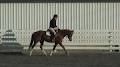 Maple Meadows Equestrian Training Center image 1