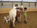 Miron Valley Stable & Riding School image 4