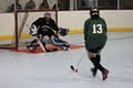 Mississauga Women's Ball Hockey League image 2