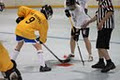 Mississauga Women's Ball Hockey League image 3