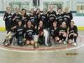 Mississauga Women's Ball Hockey League image 1