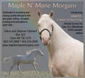 Morgan Horse Farm logo