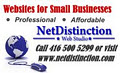 NetDistinction - Website Design & Development image 2