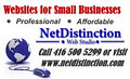 NetDistinction - Website Design & Development image 2