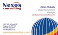 Nexos Consulting image 3