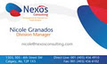 Nexos Consulting logo