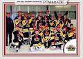 Ontario Minor Hockey Association image 6