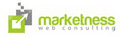 Ottawa Ontario Web Design - Marketness Web Consulting image 1