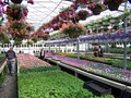 Otter Greenhouses image 4
