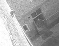 PARANORMAL CANADA image 4