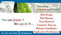 Passi.ca INC image 2